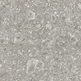 Dlažba Emil Lombarda grigio 60x60 cm mat E06F