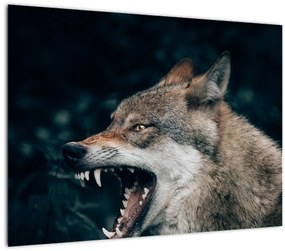 Sklenený obraz vlka (70x50 cm)