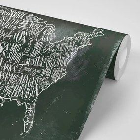 Samolepiaca tapeta náučná mapa USA s jednotlivými štátmi - 150x100