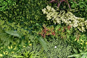 Umelý rastlinný panel RUBY 100 x 100 cm - Panel C 100x100 Europe Grass