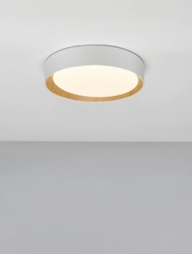 Novaluce Moderné stropné svietidlo Stake 6 Farba: Biela, Teplota svetla: 3000K, Verzia: 45