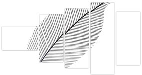 Obraz - list na bielom pozadí