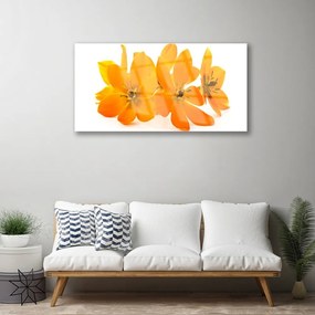 Obraz na skle Oranžové kvety 100x50 cm