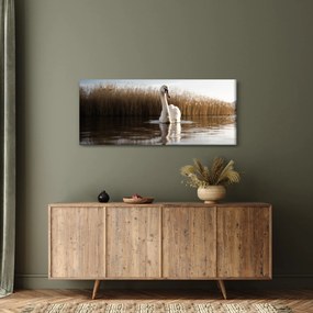 Obraz labute (120x50 cm)