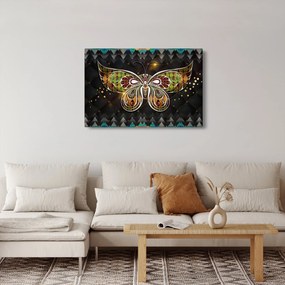 Obraz - Čarovný motýľ (90x60 cm)