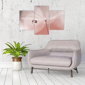 Obraz - Kvapka rosy (90x60 cm)