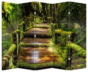 Paraván - Schody v dažďovom pralese (210x170 cm)