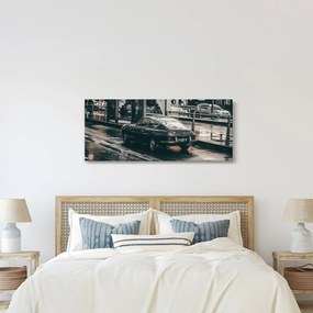 Obraz idúceho auta (120x50 cm)