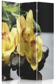Ozdobný paraván, Žlutá orchidej - 110x170 cm, trojdielny, obojstranný paraván 360°
