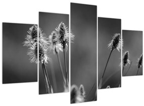 Obraz - Béžová soft grass N⁰2 (150x105 cm)