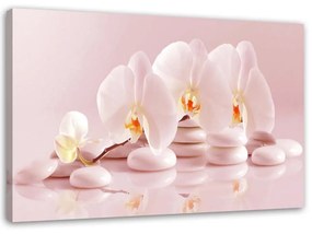 Obraz na plátně Orchidejové květiny Zen Spa - 60x40 cm