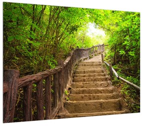 Letný obraz schodov v prírode (70x50 cm)