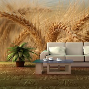 Sablio Tapeta Klasy 2 - 125x75 cm