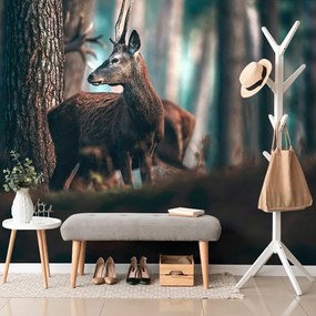 Fototapeta jeleň v borovicovom lese - 150x100
