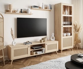 OBÝVACIA STENA THEO S VIEDENSKÝM VÝPLETOM + DUB PUCCINI