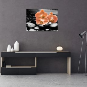 Sklenený obraz - Oranžové orchidey (70x50 cm)