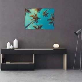 Sklenený obraz - Vysoké palmy (70x50 cm)