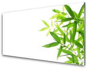 Obraz na akrylátovom skle Listy príroda rastlina 100x50 cm
