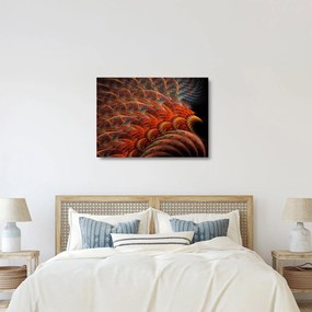 Sklenený obraz - Abstraktná imitácia peria (70x50 cm)