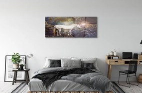 Obraz na akrylátovom skle Unicorn v lese 120x60 cm