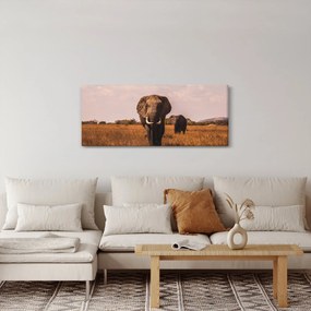 Obraz - Príchod slona (120x50 cm)