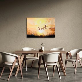 Sklenený obraz - Žeriavy pri západe slnka (70x50 cm)