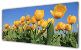 Obraz plexi Tulipány kvety rastlina 125x50 cm