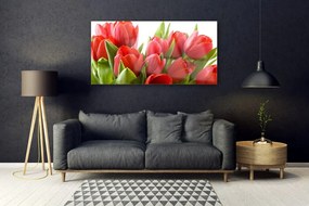 Obraz na akrylátovom skle Tulipány kvety rastlina 120x60 cm