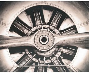 Obraz tlačený na plátne 40x50 PRC1083