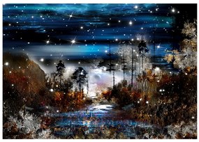 Artgeist Fototapeta - Night in the forest Veľkosť: 150x105, Verzia: Standard