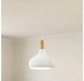 Eglo 901178 - Závesný luster na lanku SABINAR 1xE27/60 W/230 V, pr. 28 cm, biely-