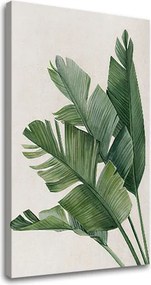 Obraz na plátne RASTLINY 008