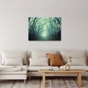 Obraz - Cesta s alejou stromov (70x50 cm)