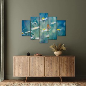 Obraz - Motýľ na sedmokráske (150x105 cm)