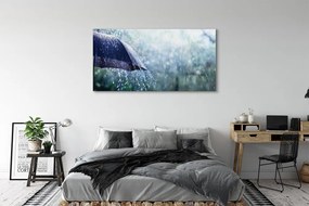 Obraz plexi Umbrella dažďovej kvapky 140x70 cm
