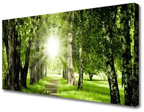 Obraz Canvas Les slnko chodník príroda 120x60 cm