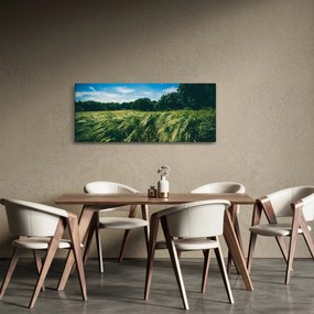 Obraz lúky a lesa (120x50 cm)