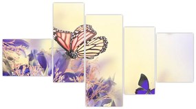 Motýle - obraz
