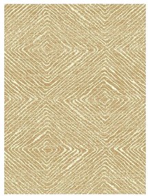 Koberec New Shiraz 1,4/2,0 2001 4064 B55