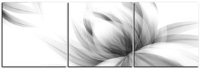 Obraz na plátne - Elegantný kvet - panoráma 5147QB (90x30 cm)