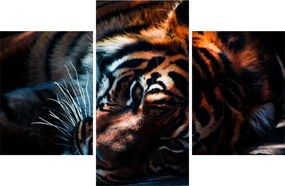 Obraz ležiaceho tigra (90x60 cm)