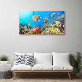 Obraz na plátne Koralový útes krajina 120x60 cm