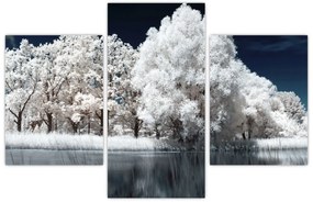 Obraz - Snehobiele stromy (90x60 cm)