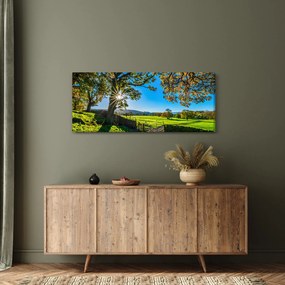 Obraz - Výhľad na pole (120x50 cm)