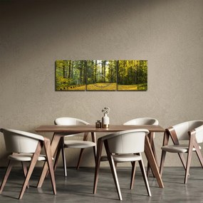 Obraz - les v jeseni (s hodinami) (90x30 cm)