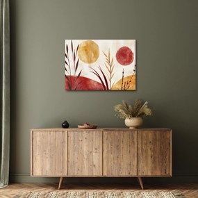 Obraz - Rastliny a kruhy (70x50 cm)