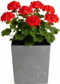 PLASTOVÝ KVETINÁČ FLORE 30,5X29,5X29,5 CM IMITÁCIA BETÓNU SIVÁ
