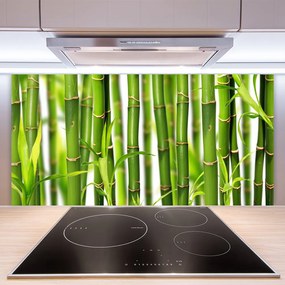 Sklenený obklad Do kuchyne Bambusové výhonky listy bambus 120x60 cm