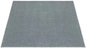 Koberec BRIGHTON 275 sivý