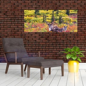 Obraz - Karibu na Aljaške (120x50 cm)